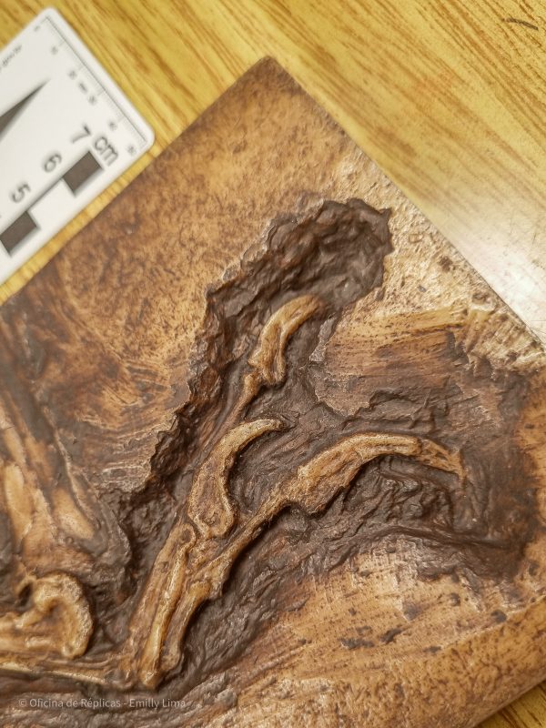 Pterossauro (réptil-voador) do Araripe - Mão de uma parte da asa de Anhanguera sp (amostra nº 78) - Imagem 2
