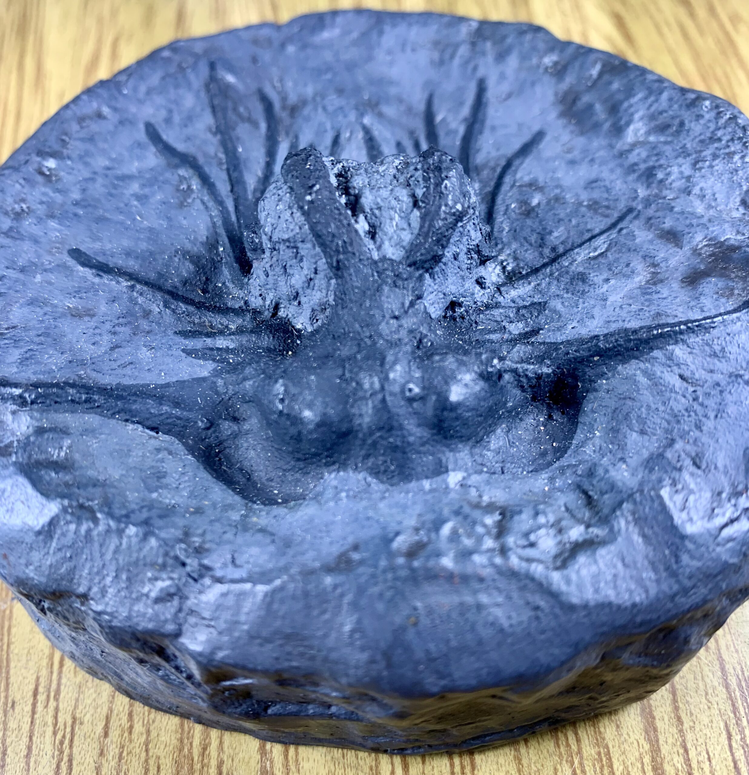 Trilobita Dicranurus monstrosus (amostra nº 27) - Imagem 2